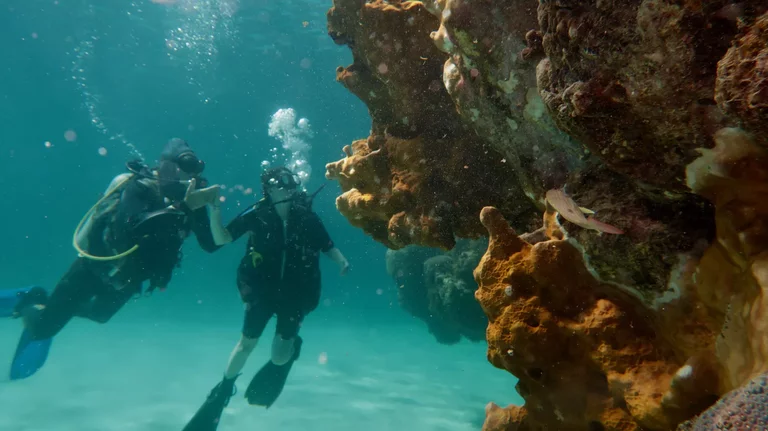 Beginner scuba dive Varadero coral reef