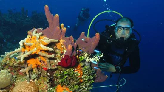Fun dives in Varadero for certified scuba divers