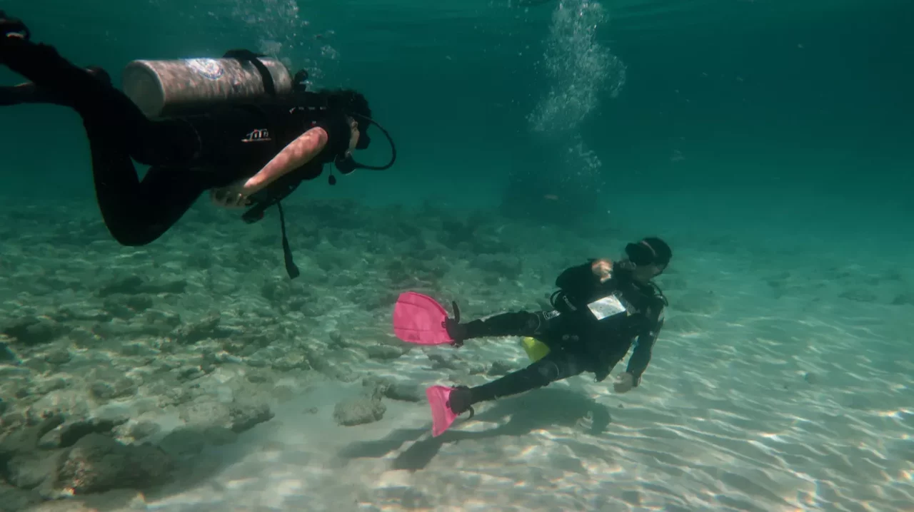 Scuba instructor guiding beginner divers in Cuba