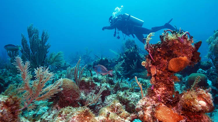 “First-time scuba diver exploring shallow reef in Cuba”