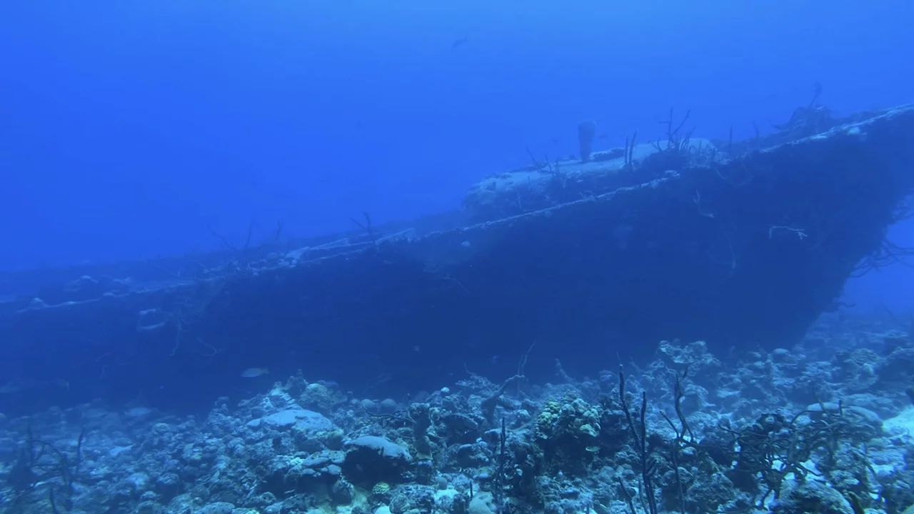 Explore historic shipwrecks beneath the surface at Bay of Pigs