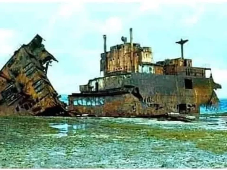 “Sunken shipwreck at Damuji covered with coral near Varadero”