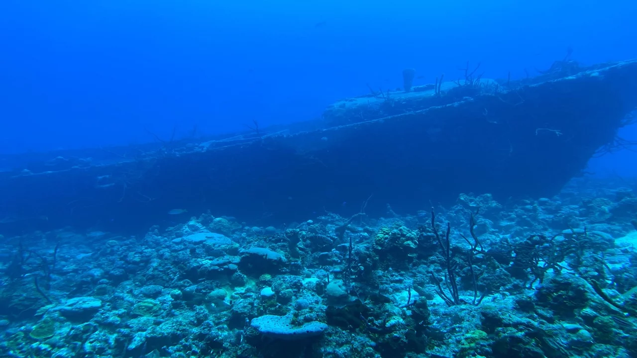 "Wrecked at Bay of Pigs"