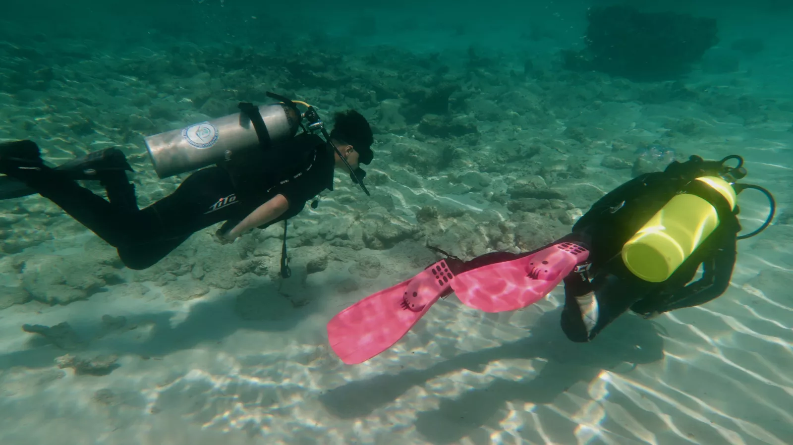 Instructor guiding a beginner during discover scuba diving in dive sites near varadero