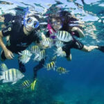 Family and friends enjoying together scuba diving and snorkeling in Varadero Cuba