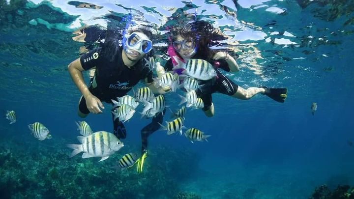 Family and friends enjoying together scuba diving and snorkeling in Varadero Cuba