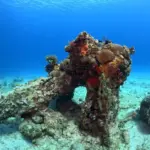 Coral-covered Damuji wreck structure near Varadero Cuba