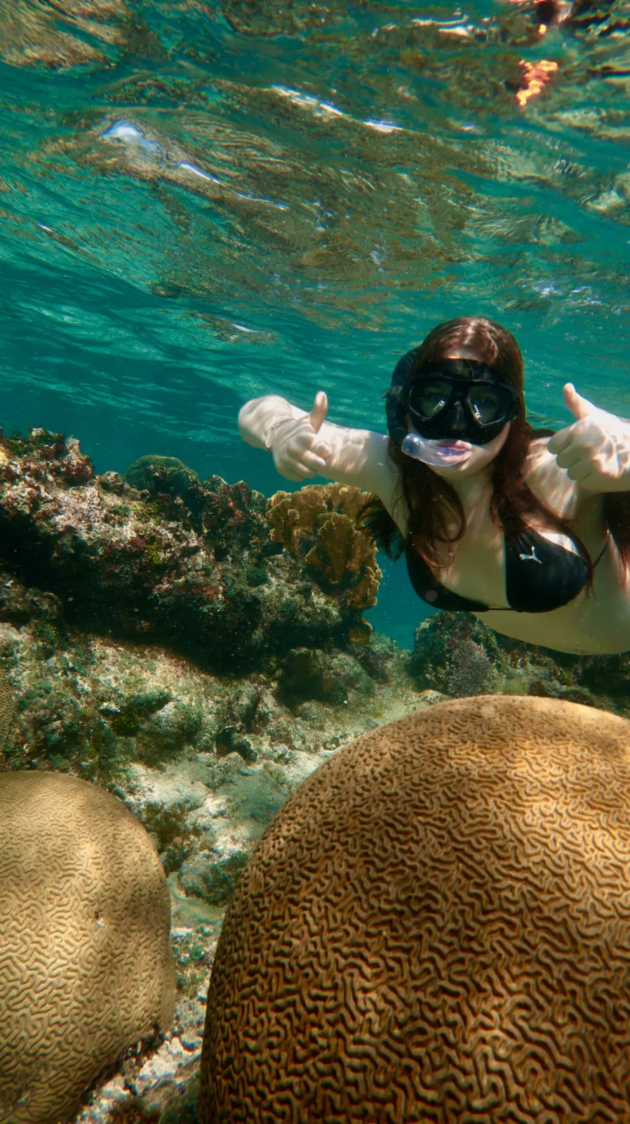 Snorkeler surrounded of marine life while doing snorkeling in Varadero, Cuba