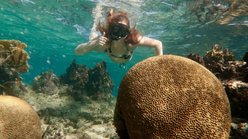 Swimmer Snorkeling in Varadero, Cuba close to a Brain coral at Coral Beach