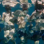 Snorkeler companion enjoying Snorkeling in Varadero, Cuba in same reef point of Discover Scuba Diving