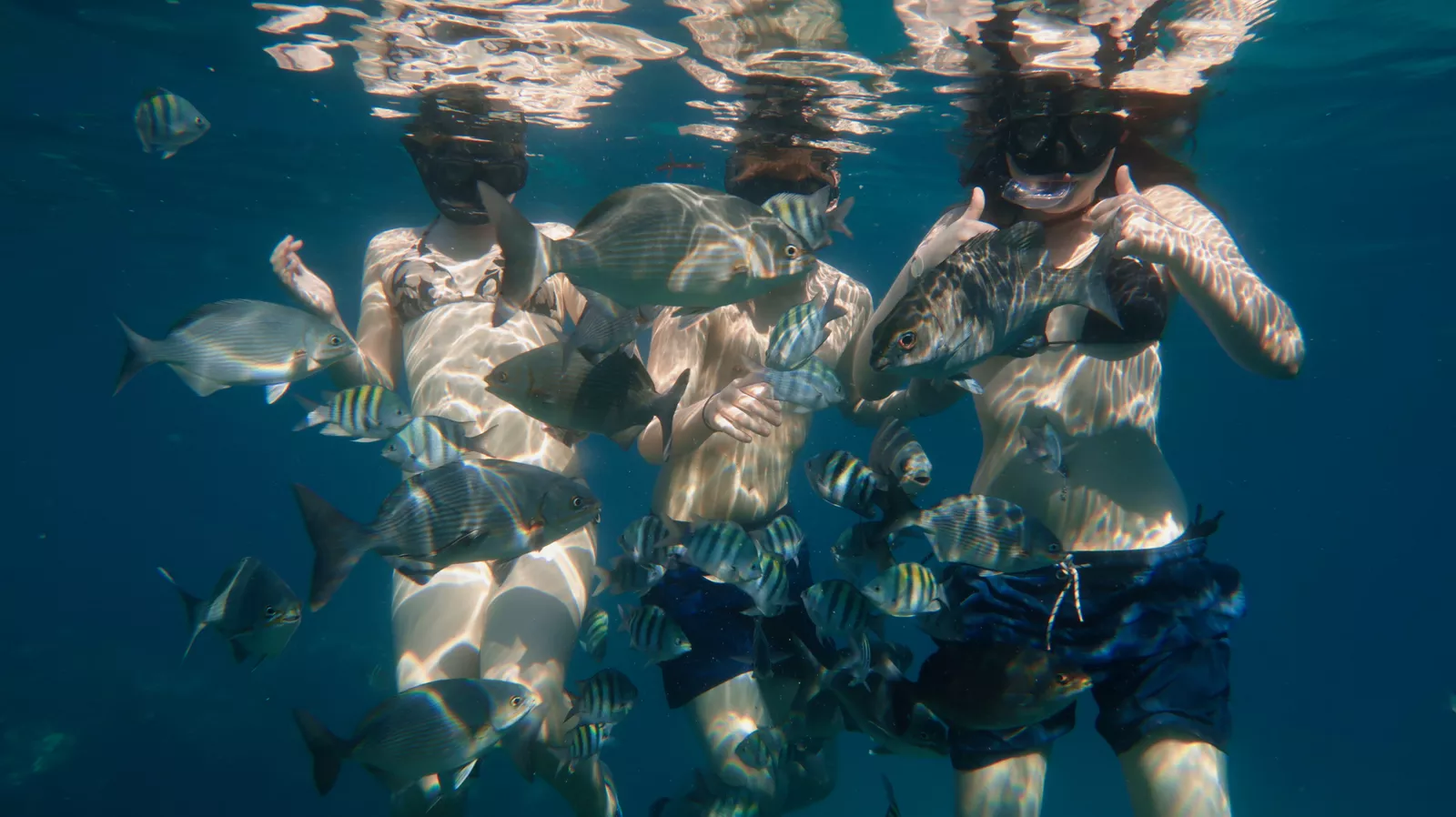 Snorkeler companion enjoying Snorkeling in Varadero, Cuba in same reef point of Discover Scuba Diving