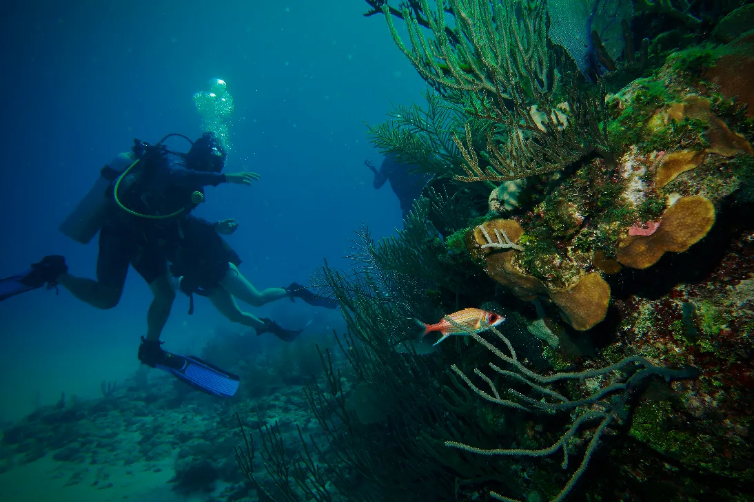 Scuba divers enjoying warm Caribbean waters in Varadero Cuba