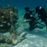 Diver assistance and rescue techniques with Scuba Vida’s PSS Rescue Diver Course in Varadero