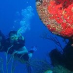 Advanced Open Water Diver Course, students exploring a colorful coral wall in Varadero