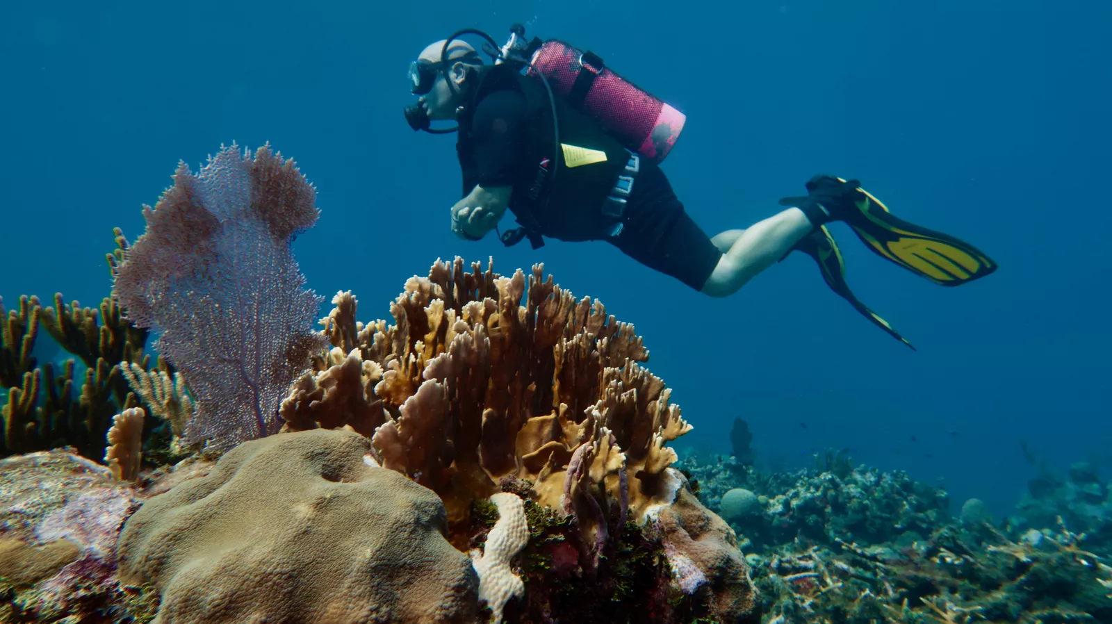 Scuba diver maintaining good buoyancy and trim over a coral reef in Varadero Cuba
