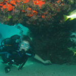Scuba diver exploring a coral reef near Varadero Cuba