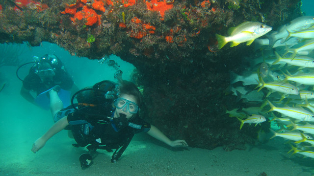 Scuba diver exploring a coral reef near Varadero Cuba