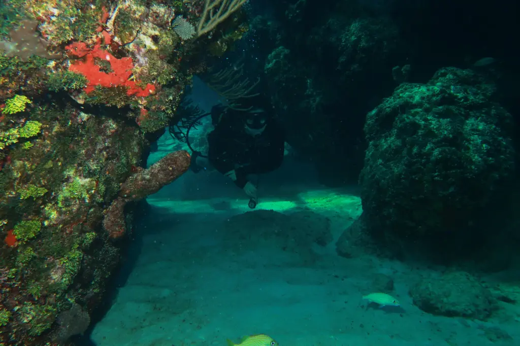 Scuba diver exploring a coral reef near Havana Cuba